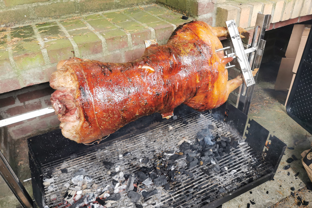 cochon
